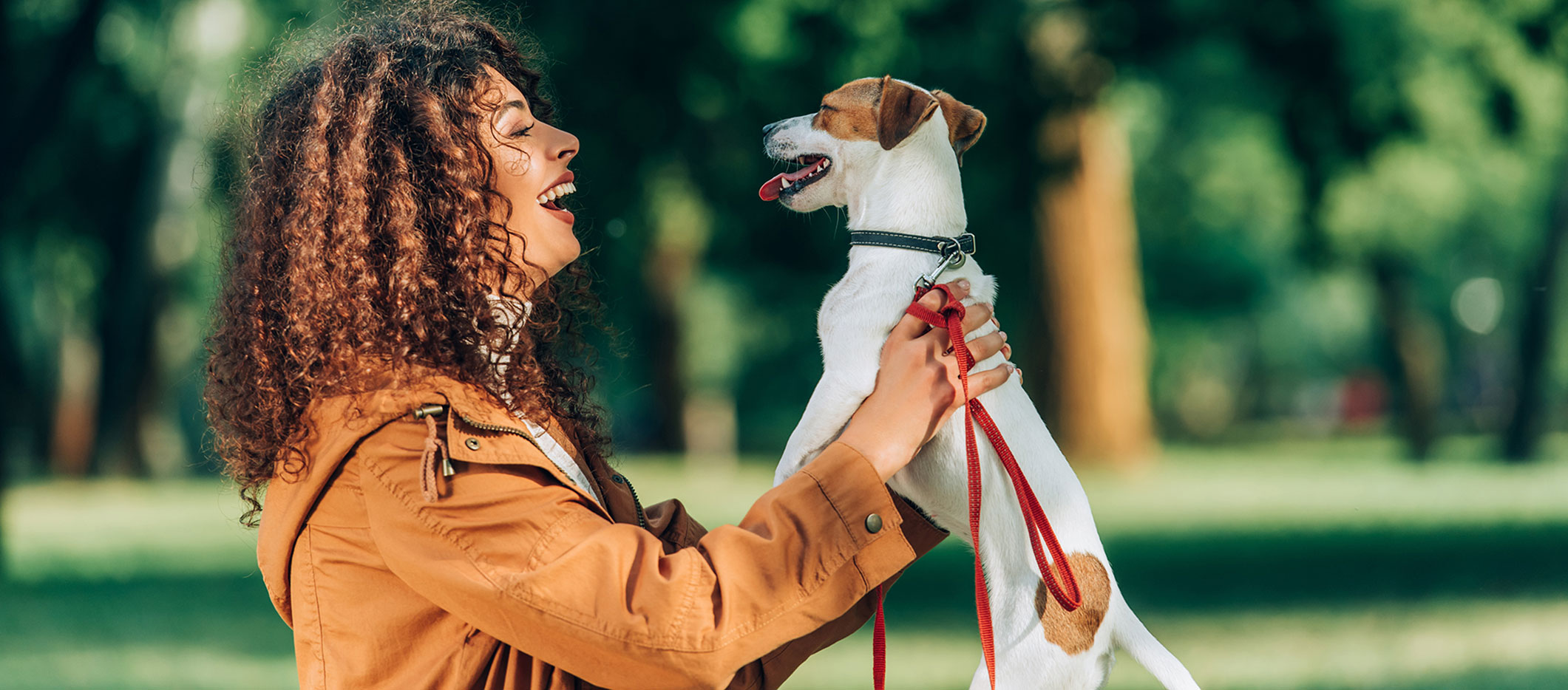 pet-exam-offer-little-silver-animal-hospital