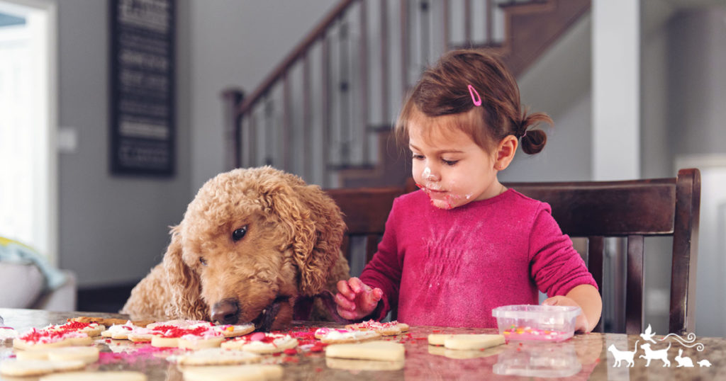 girl decorating Valentine's cookies with dog