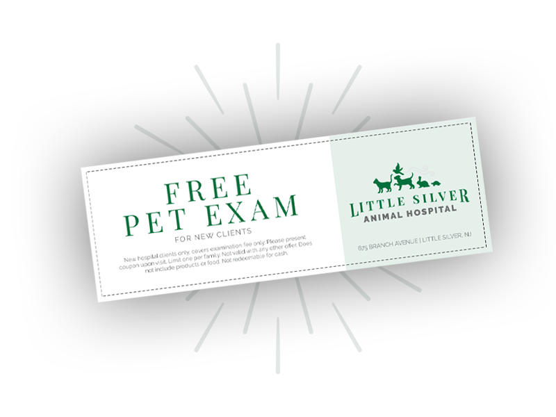 free pet exam coupon