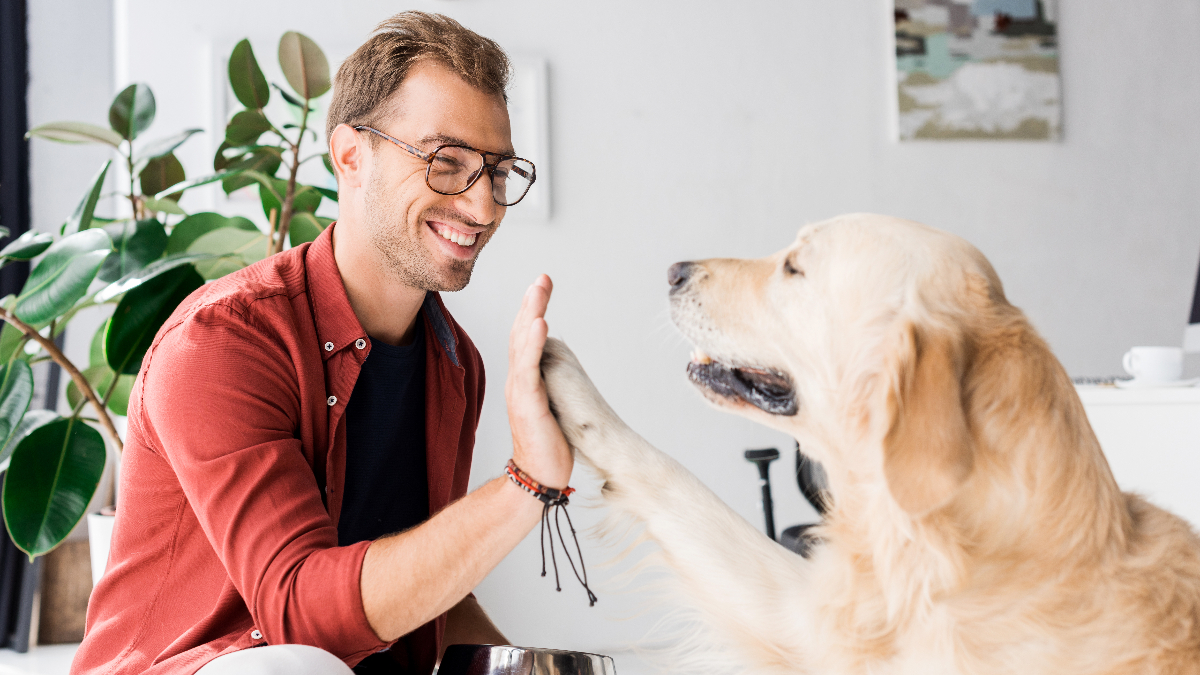 5 Ways Your Pet Helps Relieve Stress Little Silver Animal Hospital