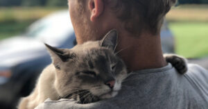 cat clinging to male owner