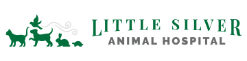 little silver animal hospital logo