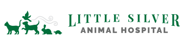 little silver animal hospital logo
